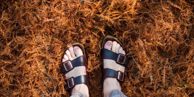 Birkenstock