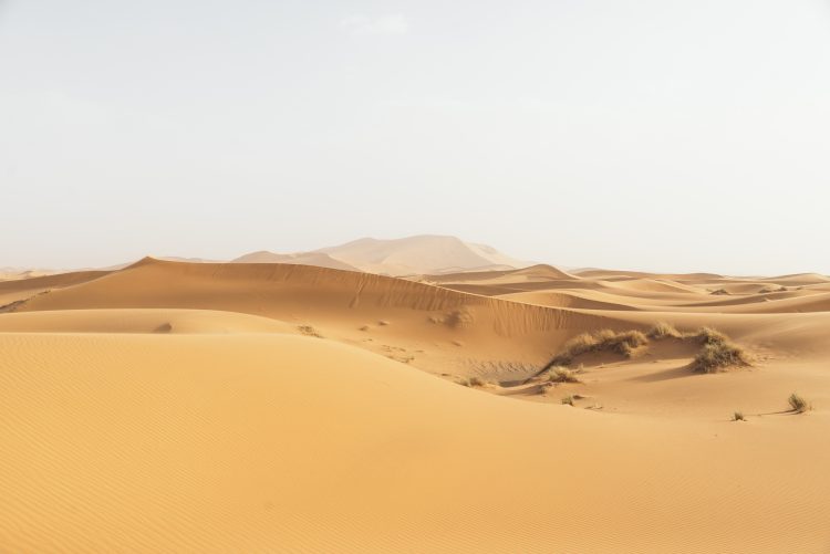 Gold desert in sunset. Morocco.